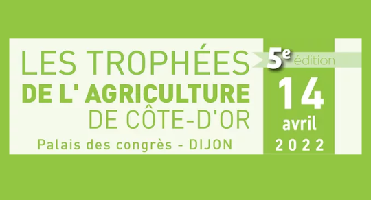 Groupe dÃ©filant 5.png