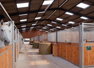 Haras de Saint Pierre