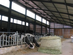 Gaec du plateau